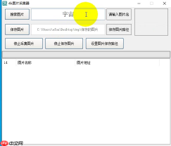 00001_4k图片下载器 | 如何一键下载9000+张高清美女图片？