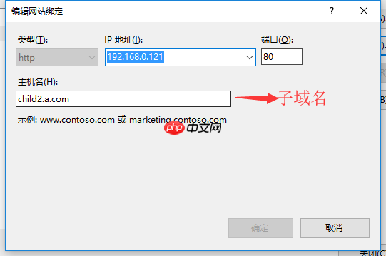 IIS 站点部署多级域名