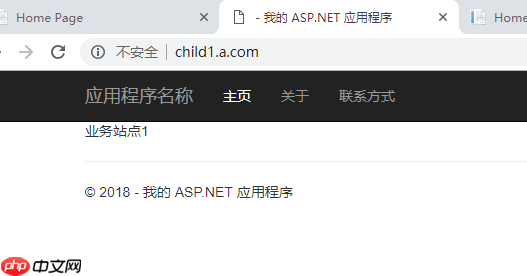 IIS 站点部署多级域名