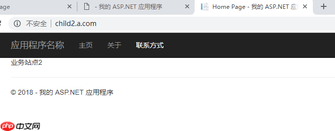 IIS 站点部署多级域名