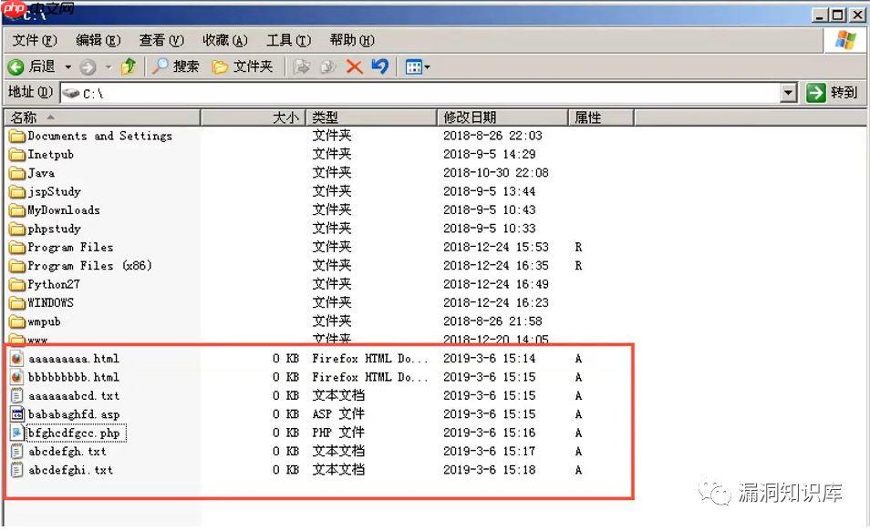 IIS - 短文件名猜解漏洞