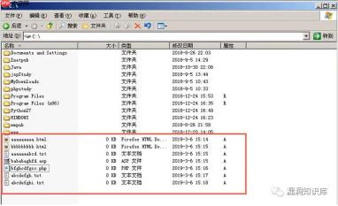 IIS - 短文件名猜解漏洞