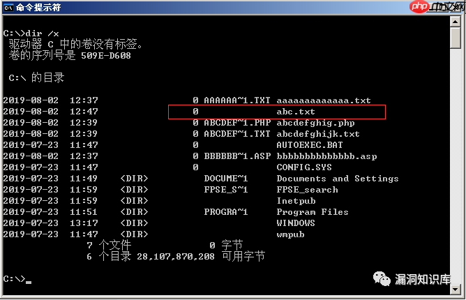 IIS - 短文件名猜解漏洞