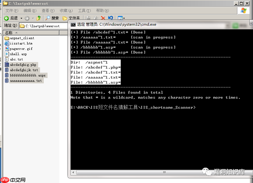 IIS - 短文件名猜解漏洞
