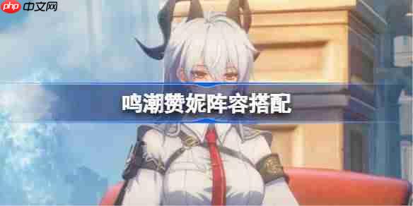 鸣潮赞妮阵容搭配-鸣潮赞妮怎么配队