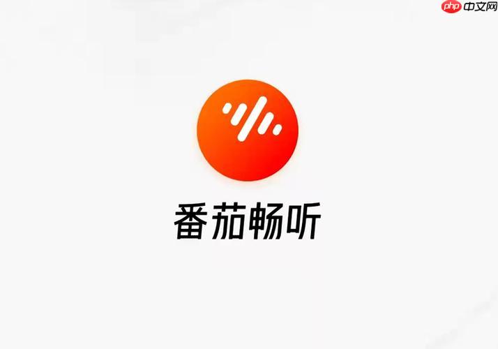 怎么安装番茄畅听APP_番茄畅听安装流程与权限设置指南
