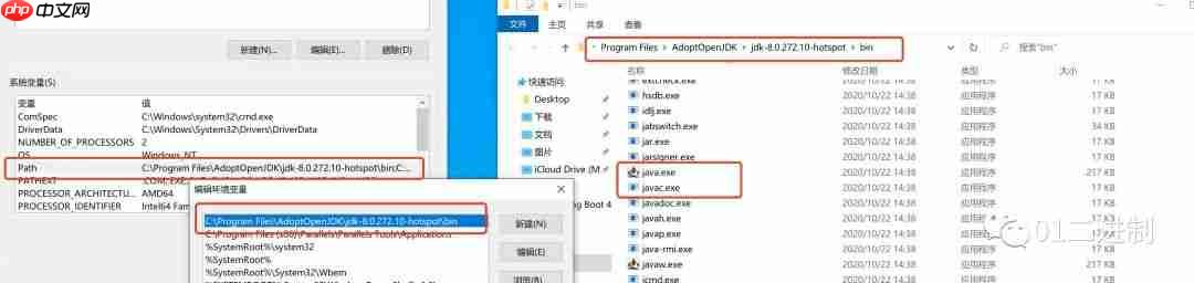 什么是环境变量？