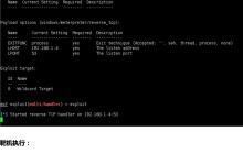基于白名单 Regsvcs.exe 执行 Payload 第四季