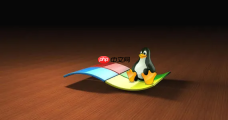 仅需一步！直接在 Windows 下使用 Linux