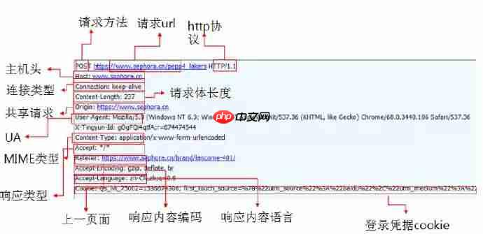 面试官问我会不会APP抓包,我..