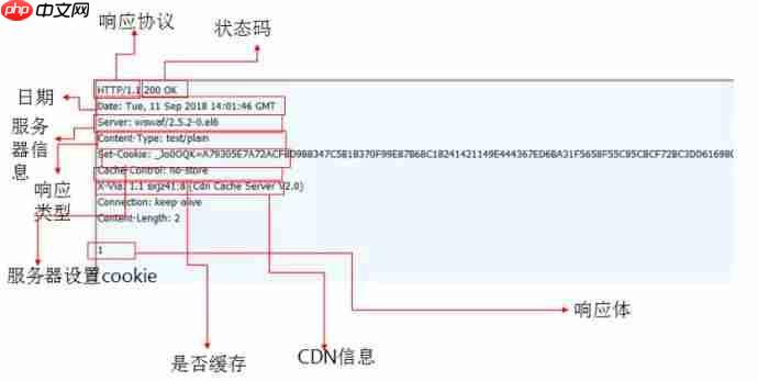 面试官问我会不会APP抓包,我..