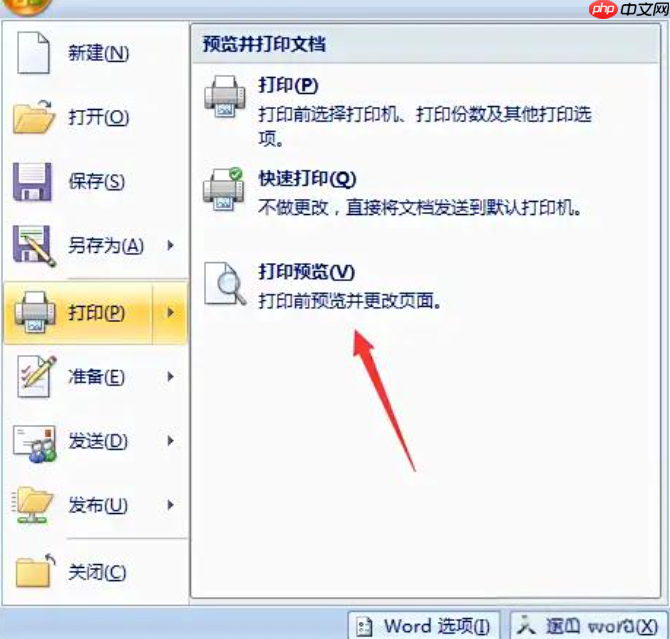 word2007怎么打印文档?word2007打印文档的步骤