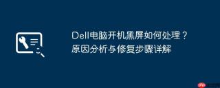 Dell电脑开机黑屏如何处理？原因分析与修复步骤详解