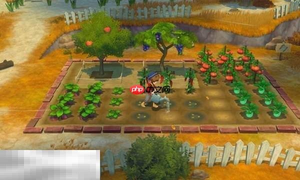 牧场物语风之繁华集市开局白嫖金币点位 开局白嫖金币方法