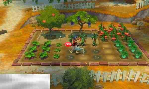 牧场物语风之繁华集市开局白嫖金币点位 开局白嫖金币方法