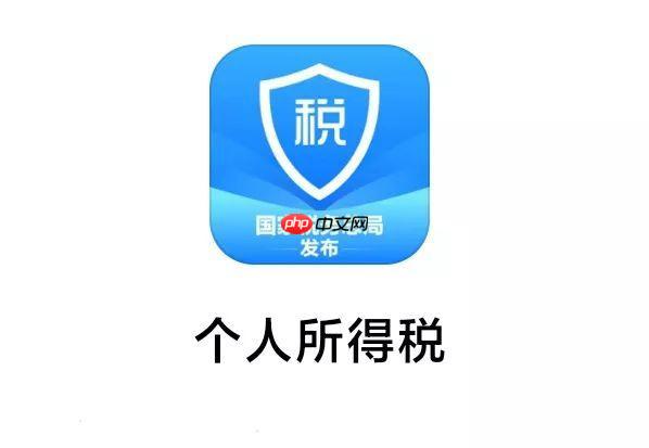 年终奖在个人所得税app怎么查_个人所得税APP年终奖查询方法