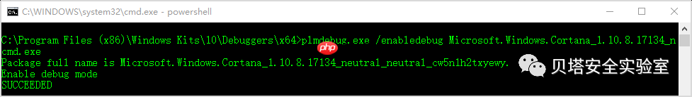 Windows通用应用平台UWP持久化