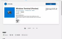 微软的新终端(windows terminal)可以下载啦，赶紧体验一波