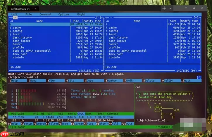 微软的新终端(windows terminal)可以下载啦，赶紧体验一波