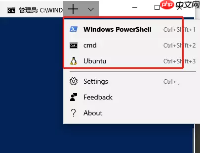 微软的新终端(windows terminal)可以下载啦，赶紧体验一波