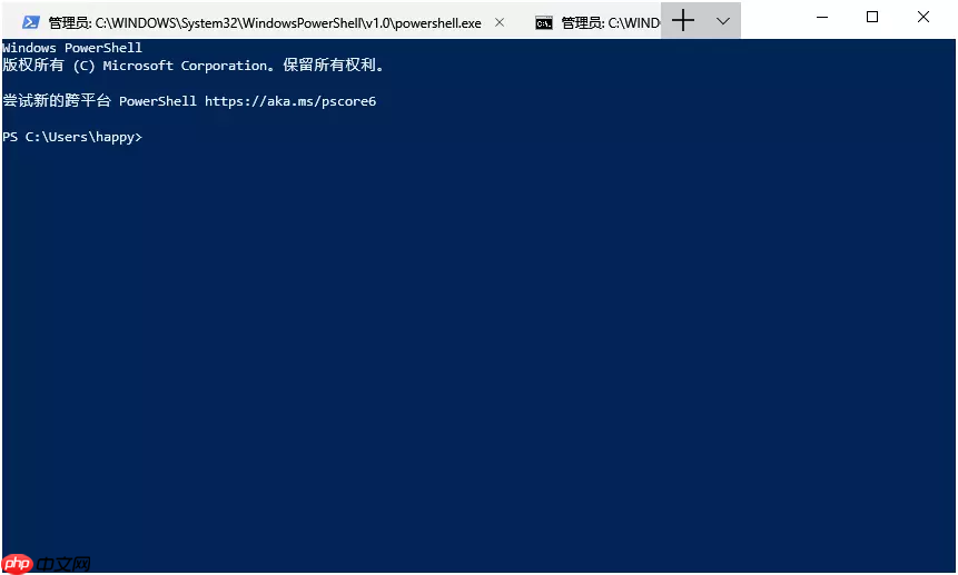 微软的新终端(windows terminal)可以下载啦，赶紧体验一波