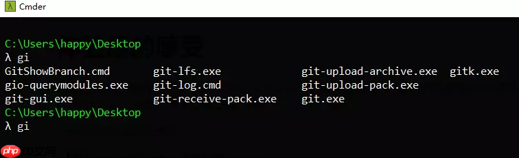 微软的新终端(windows terminal)可以下载啦，赶紧体验一波