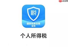 个人所得税app12万怎么申请退税_个人所得税APP12万退税申请方法