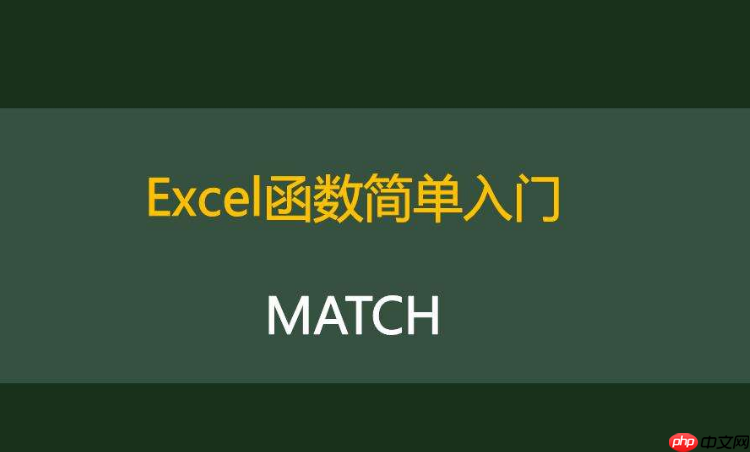 match函数的异常匹配模式_异常匹配match函数模式教程