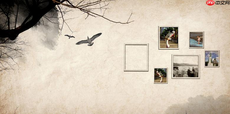 51个人空间相册隐私设置_51个人空间相册访问权限管理指南