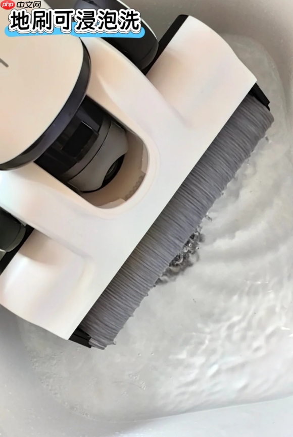 洗地机与吸尘器终极科普:功能、差异与选购全指南