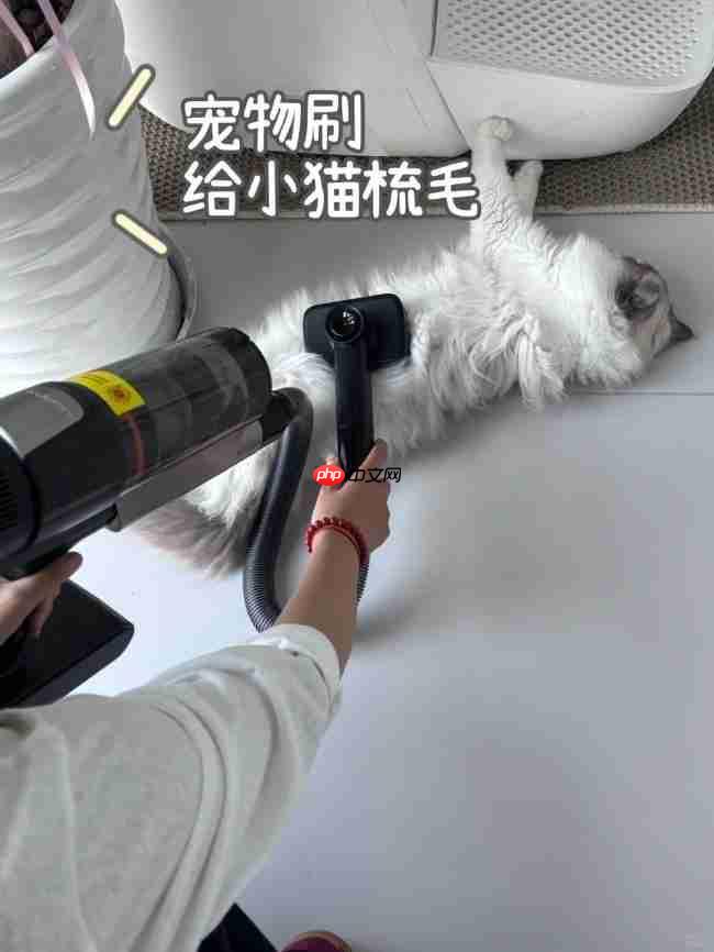 洗地机与吸尘器终极科普:功能、差异与选购全指南