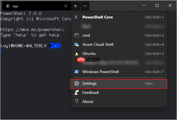 将 Windows Terminal 作为外部工具集成到其他工具/程序/代码中