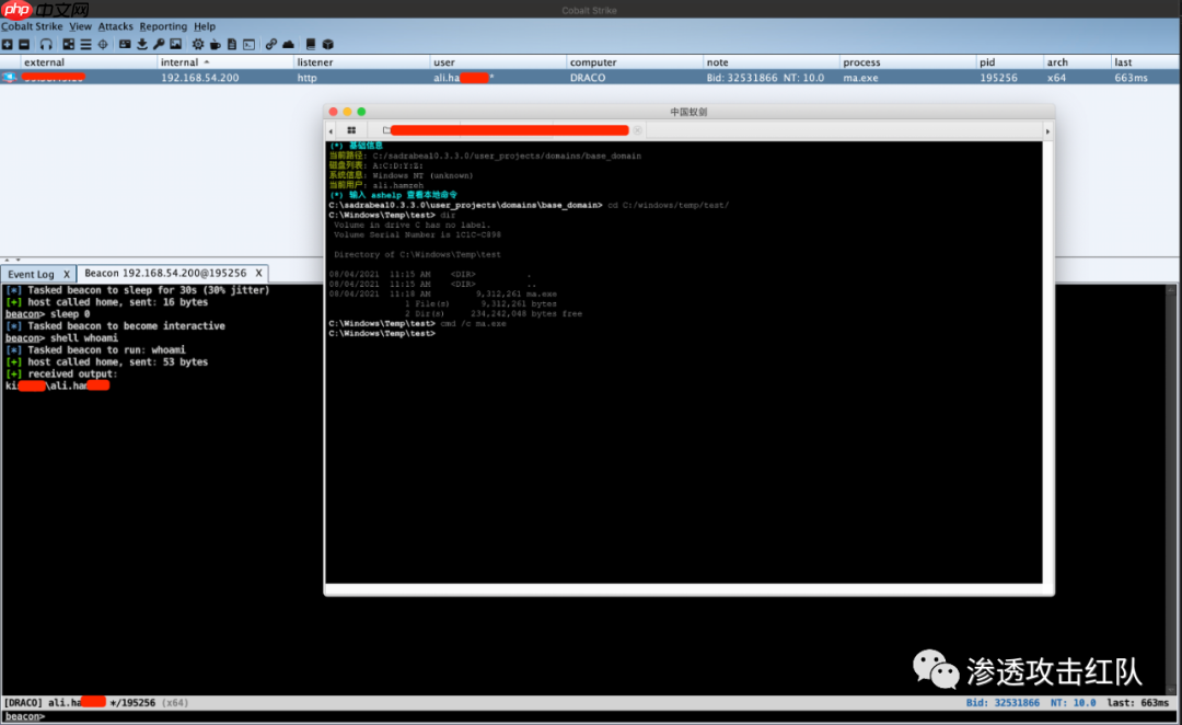 一次完美的内网域渗透，如何找到最有效的攻击路线，进行精准域内打击
