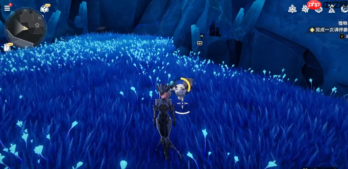 二重螺旋魔灵怎么突破-二重螺旋魔灵突破攻略