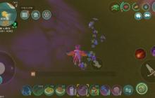 元素精华万能指南:从技能突破到联盟崛起