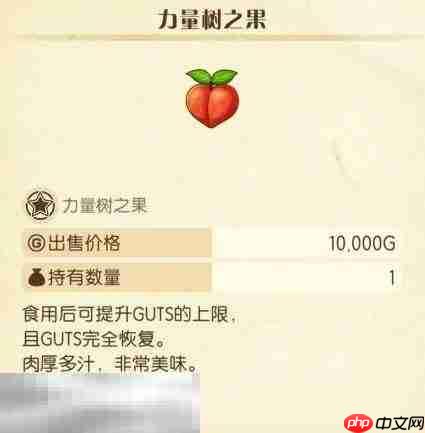 牧场物语风之繁华集市超幸运奖券屋奖品汇总 超幸运奖券屋有什么奖品