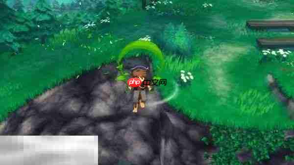 牧场物语风之繁华集市与原版区别介绍 新增内容有什么