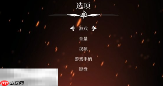 空洞骑士丝之歌怎么显示中文 中文设置方法介绍