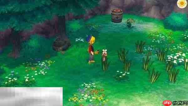 牧场物语风之繁华集市自然精灵系统指南 自然精灵功能及位置