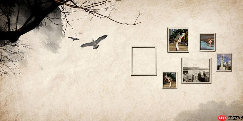 51个人空间相册排序管理_51个人空间相册自定义排序技巧