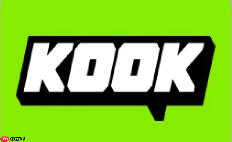 kook的discord插件如何安装_kook软件插件安装详细方法