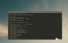 Windows终端利器Cmder