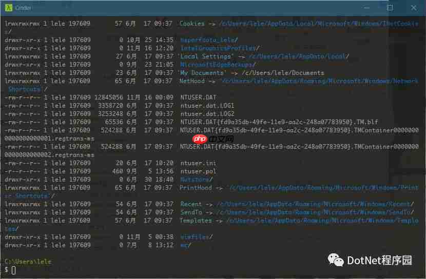 Windows终端利器Cmder