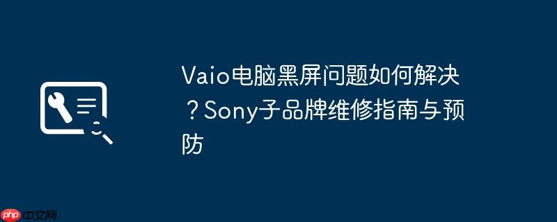 vaio电脑黑屏问题如何解决?sony子品牌维修指南与预防