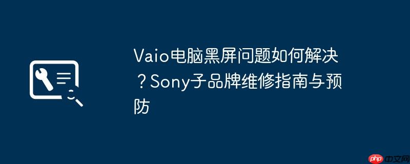 Vaio电脑黑屏问题如何解决？Sony子品牌维修指南与预防