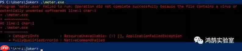红队技巧--通过内存中PE执行绕过AV