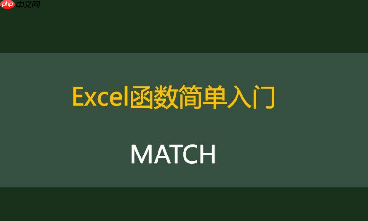 match函数与字典模式匹配详解_字典模式match函数详解教程