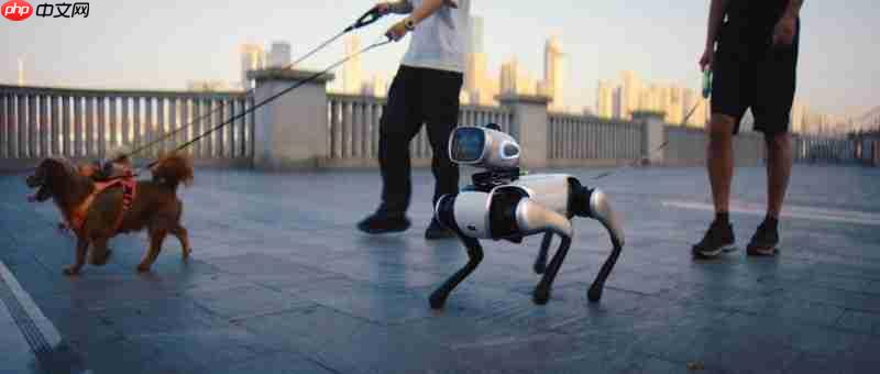 维他动力赵哲伦:具身智能的“无遥控”时代已来,中国机器人产业迎来黄金十年