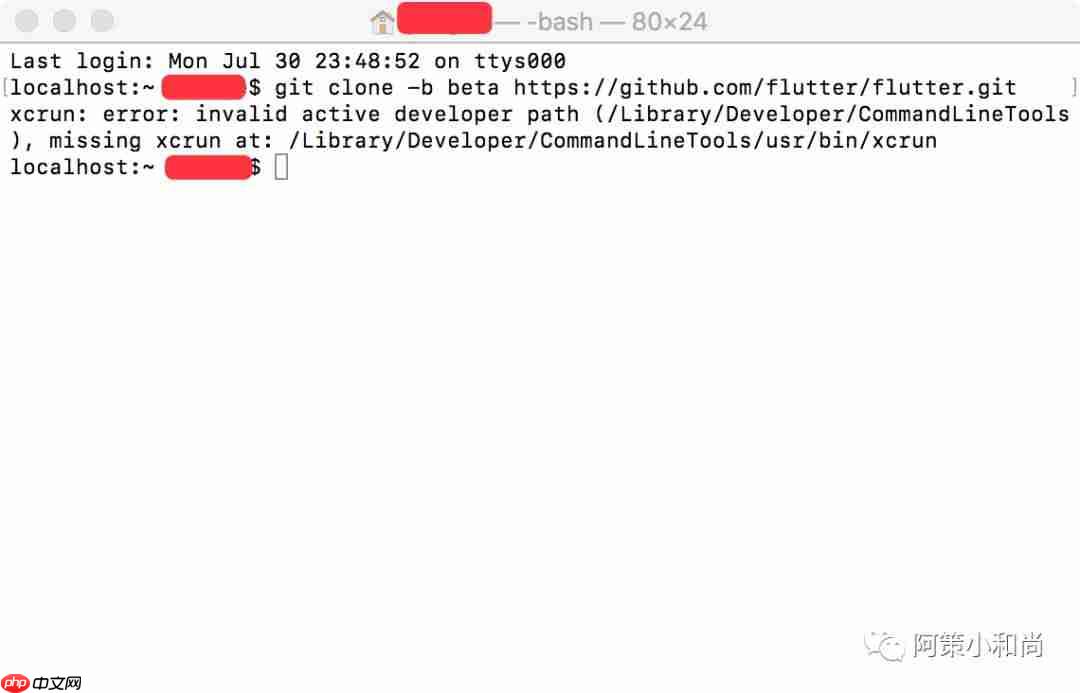 【Flutter 专题】02 图解 Mac 环境下安装配置环境